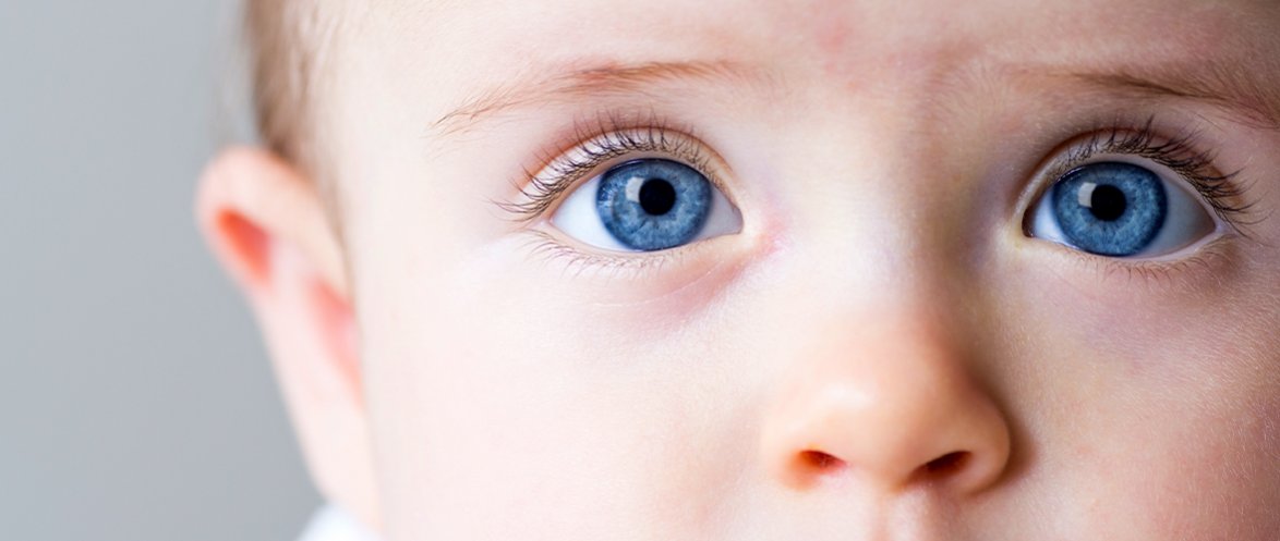 Особенности анатомии и физиологии детского глаза