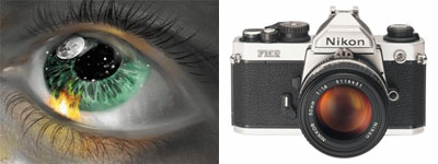 Сравнение человеческого глаза и фотоаппарата.jpg