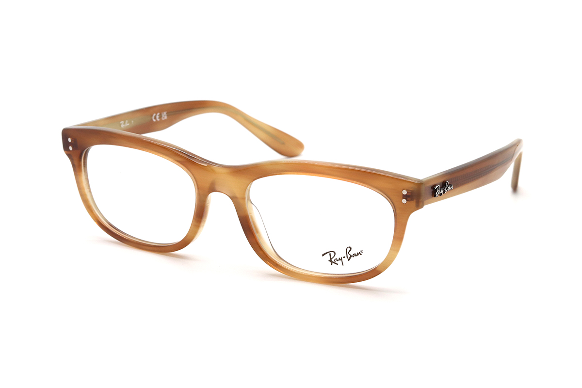 Оправы RAY-BAN RX 5489 8399 56