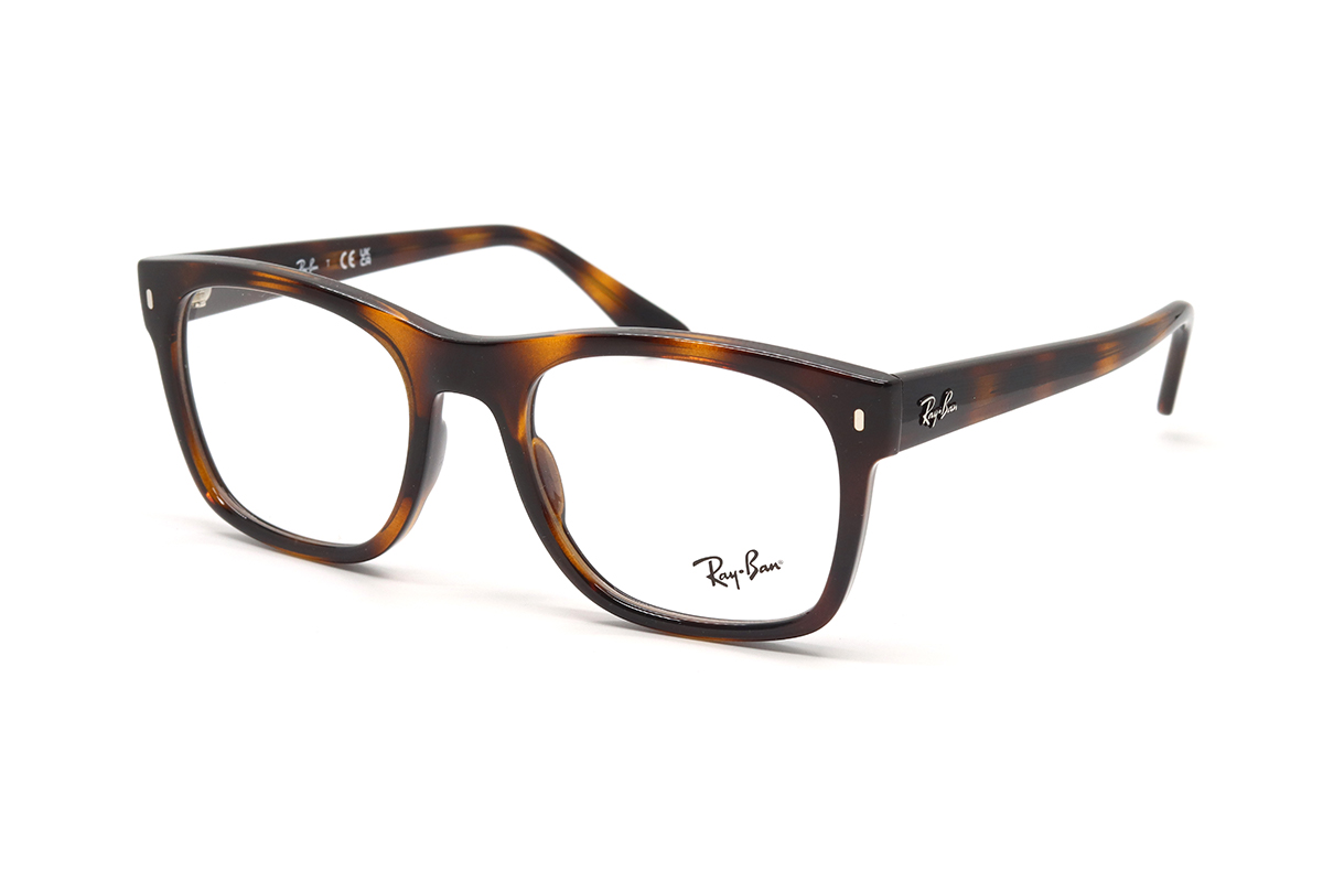 Оправы RAY-BAN RX 7228 2012 55