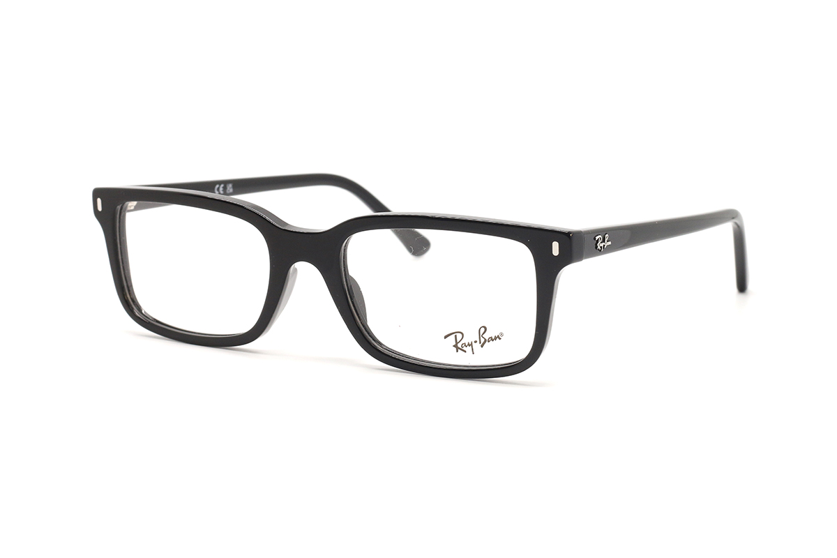 Оправы RAY-BAN RX 5445 2000 52