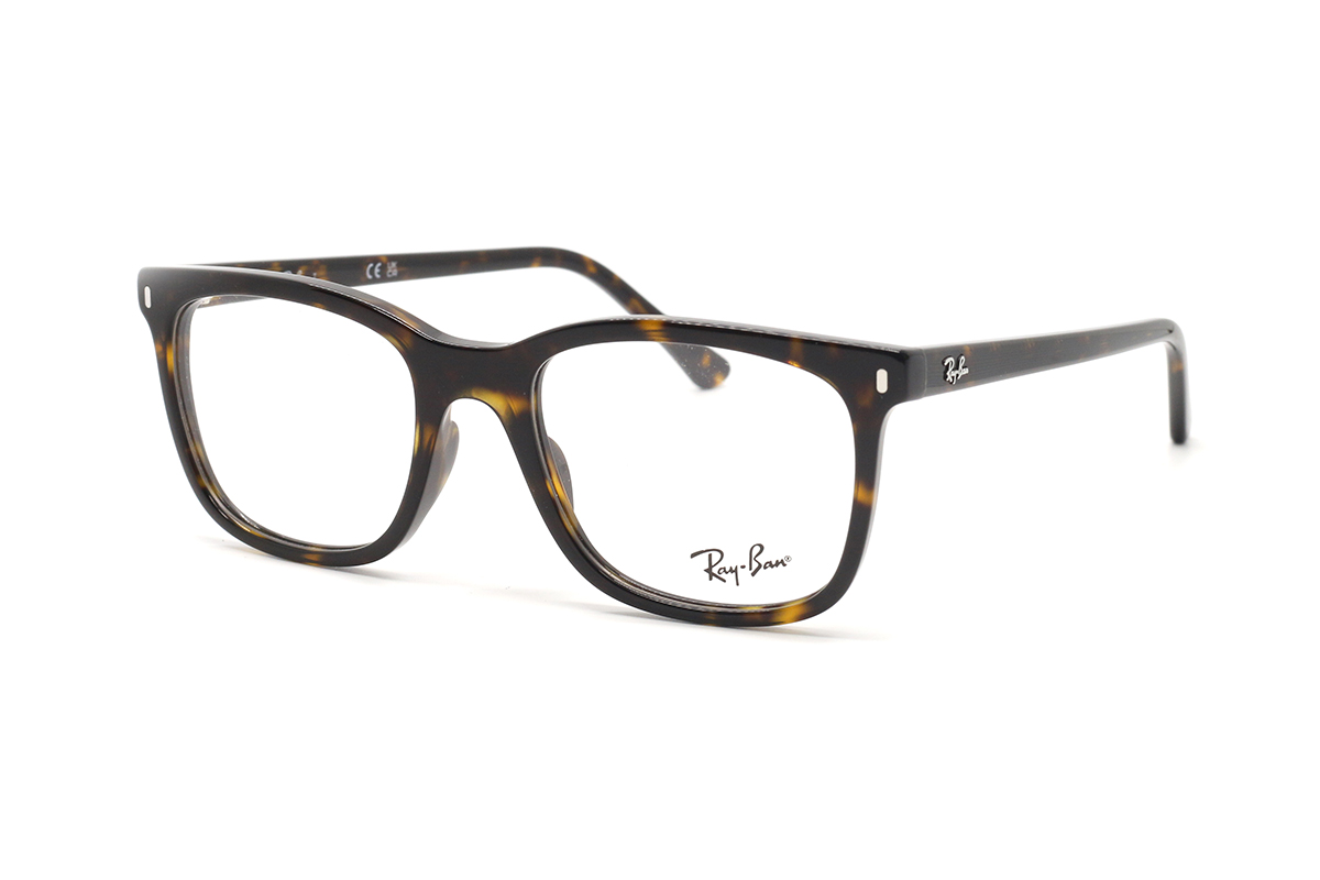 Оправы RAY-BAN RX 5446 2012 51