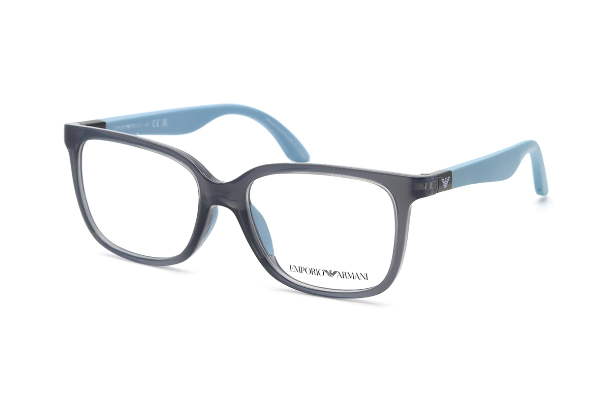 Оправи EMPORIO ARMANI EK 3006 6134 49