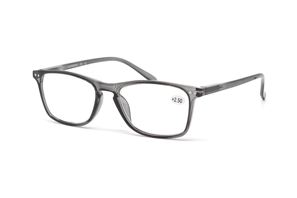 LUXOPTICA LXO 2013 NS +2.50 GRU